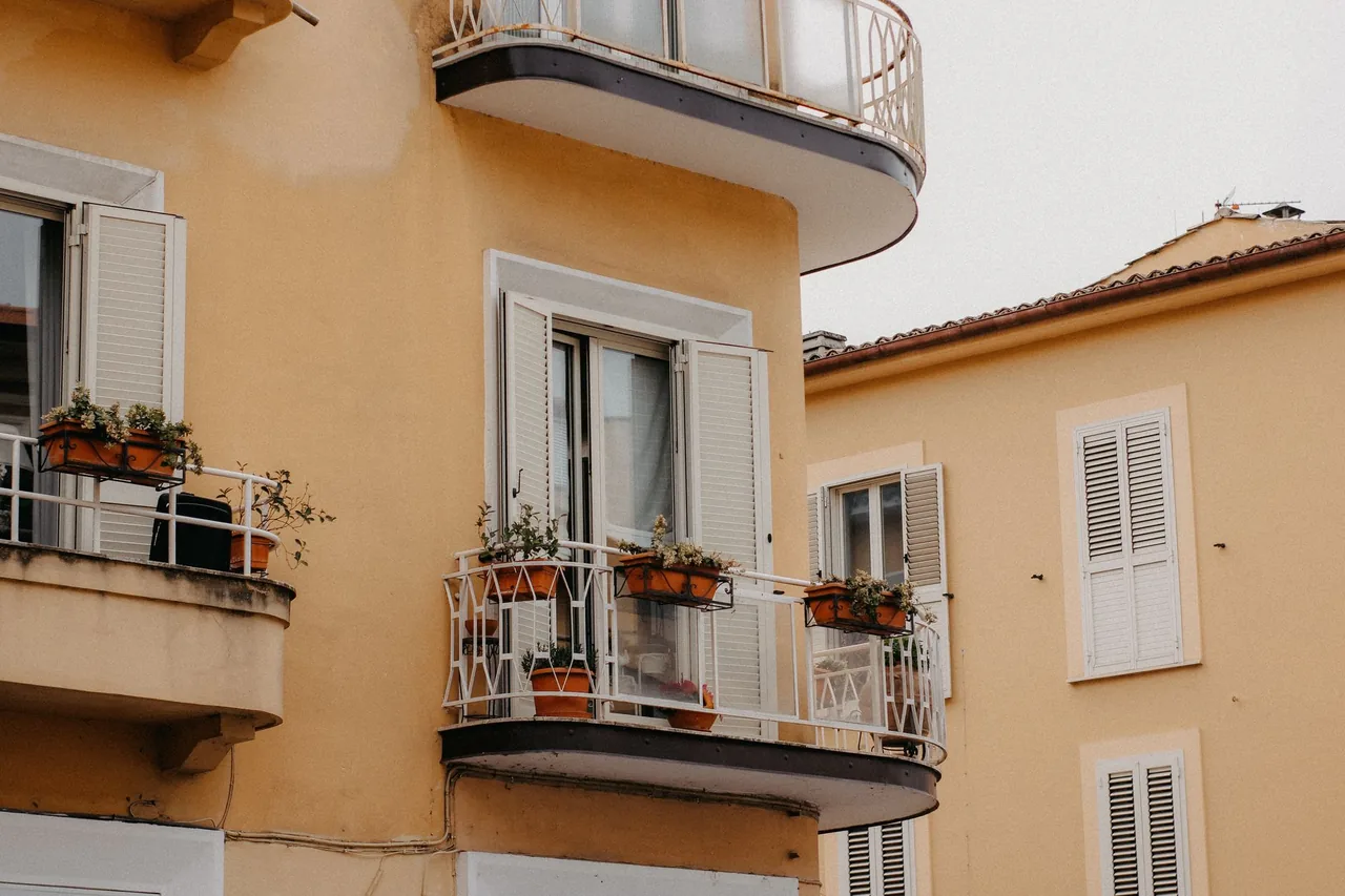 Balkon w stylu śródziemnomorskim z oliwką, lawendą i donicami z terakoty